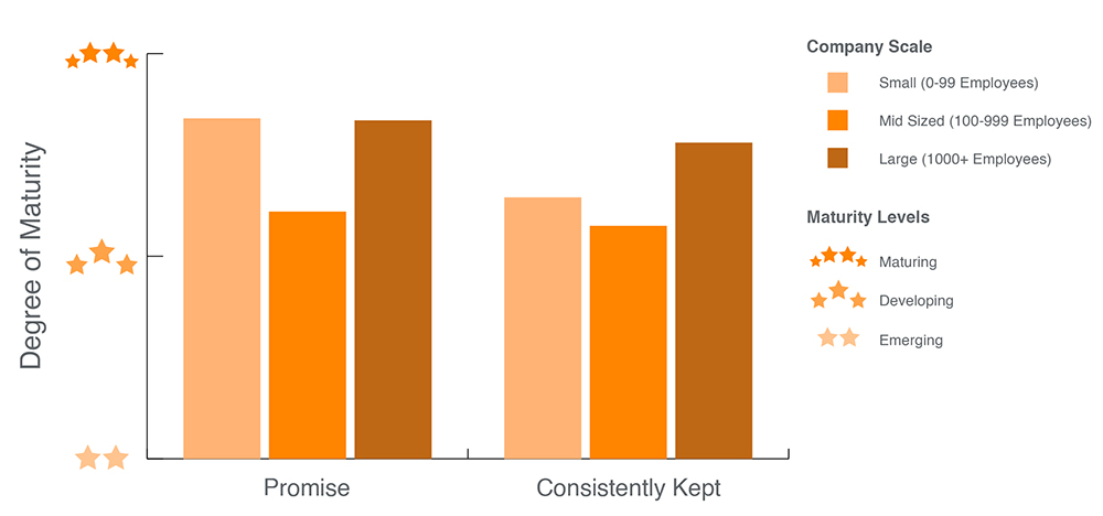 Figure 5: Promises, Consistently Kept Maturity by Company Scale