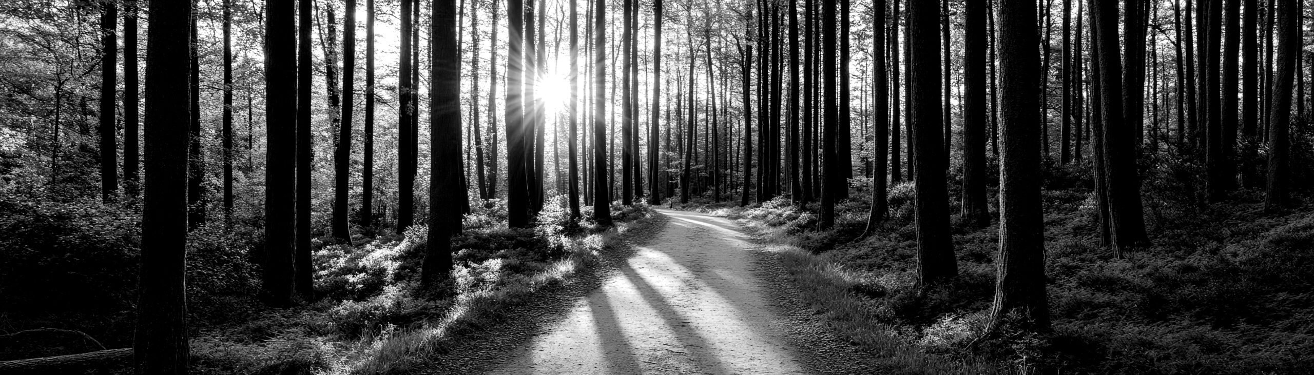 Our approach to being your trusted partner on your growth and performance journey is to remove traditional consulting conventions and collaborate with your team like it’s our own.