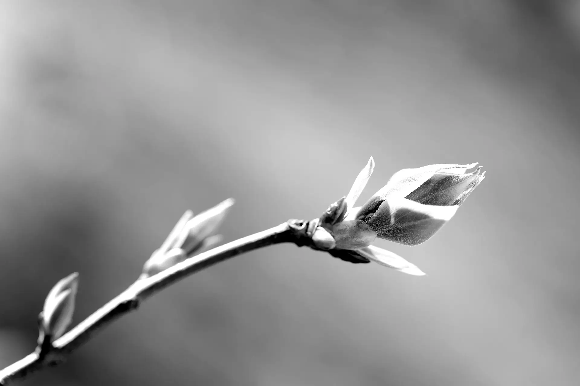 Strategies that Stick: The Importance of Measuring Progress