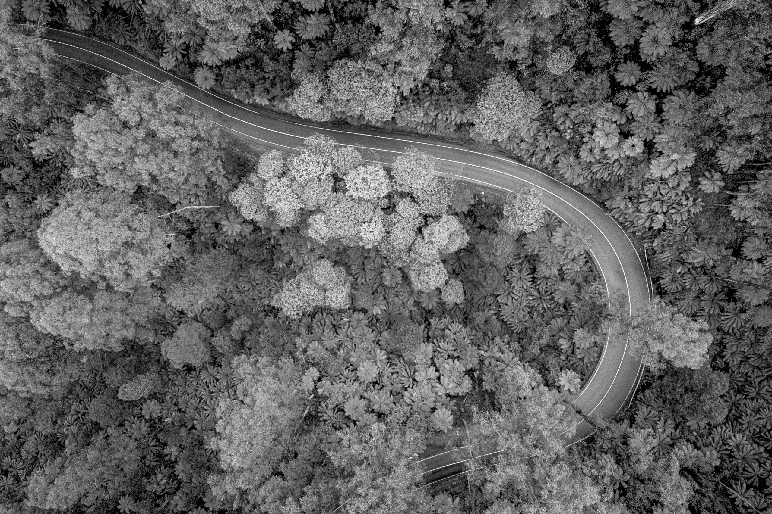 From Promise to Profit: How Strategy, Brand, and CX Drive Growth Together