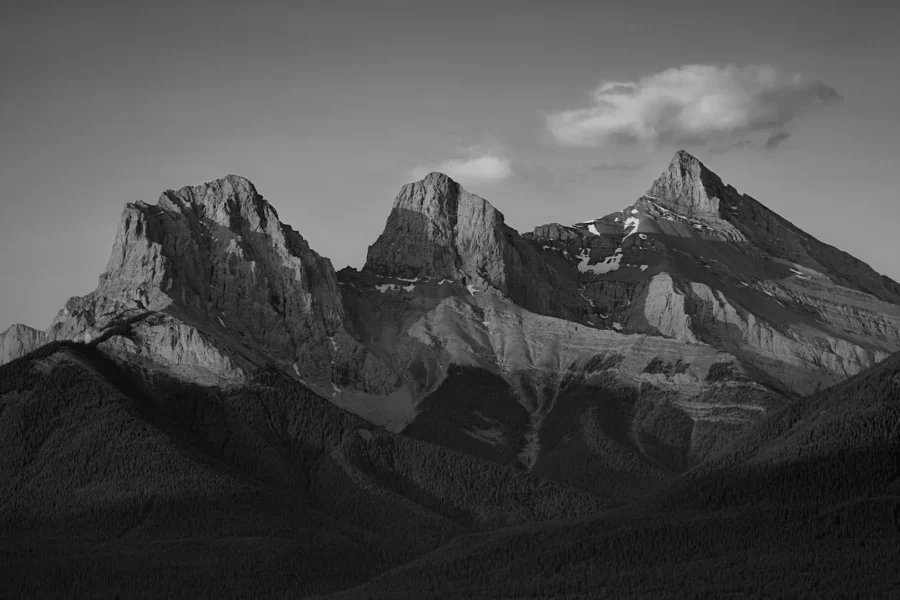 Strategy Execution Ownership That Works - Level5