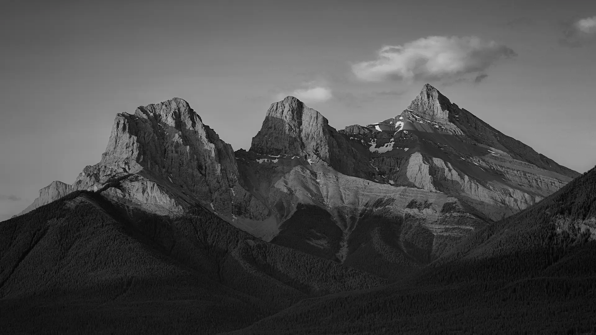 Ownership in Strategy Execution