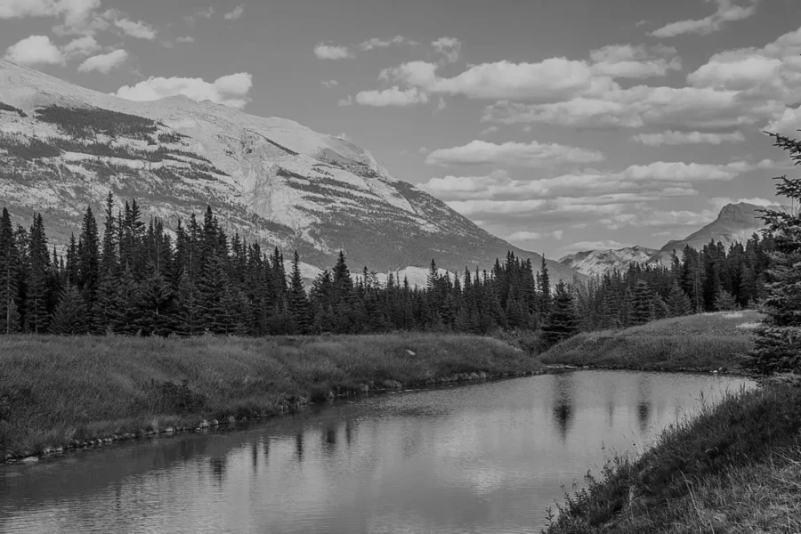 From Insights to Impact Donor Experience Strategies. Level5 Strategy.