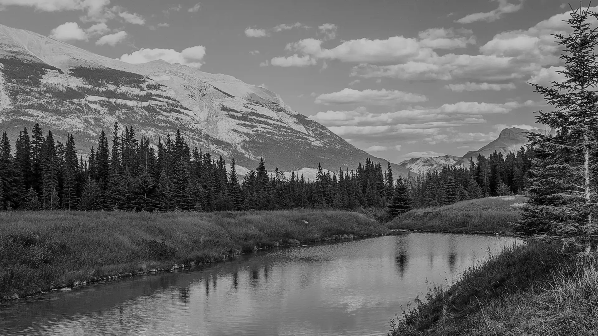 Donor Experience Strategy: A Practical Guide for Nonprofit Fundraising Leaders