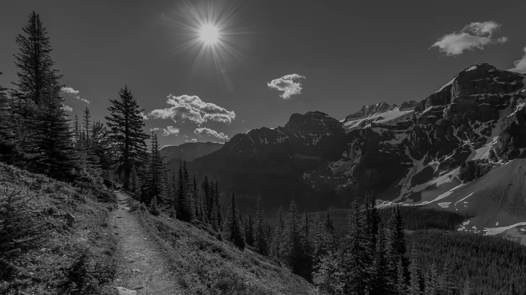 Communicating the Strategy - Level5 Strategy